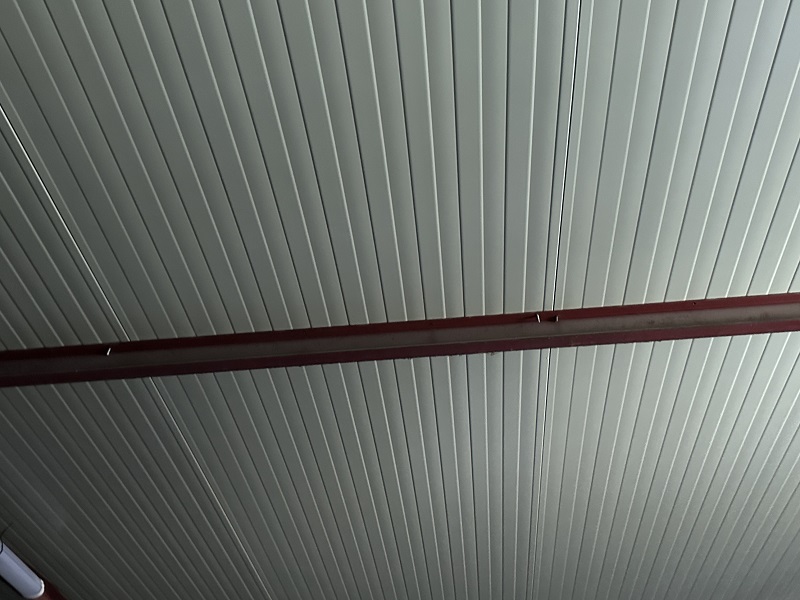sandwich roof case