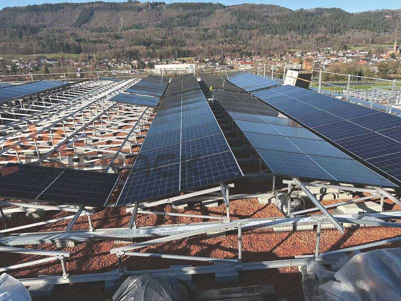 Excellent green roof mounting case in Switzerland